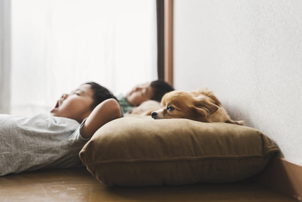 お昼寝をする子供と犬